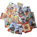 Demon Slayer: Kimetsu No Yaiba - Mugen Train Trading Cards